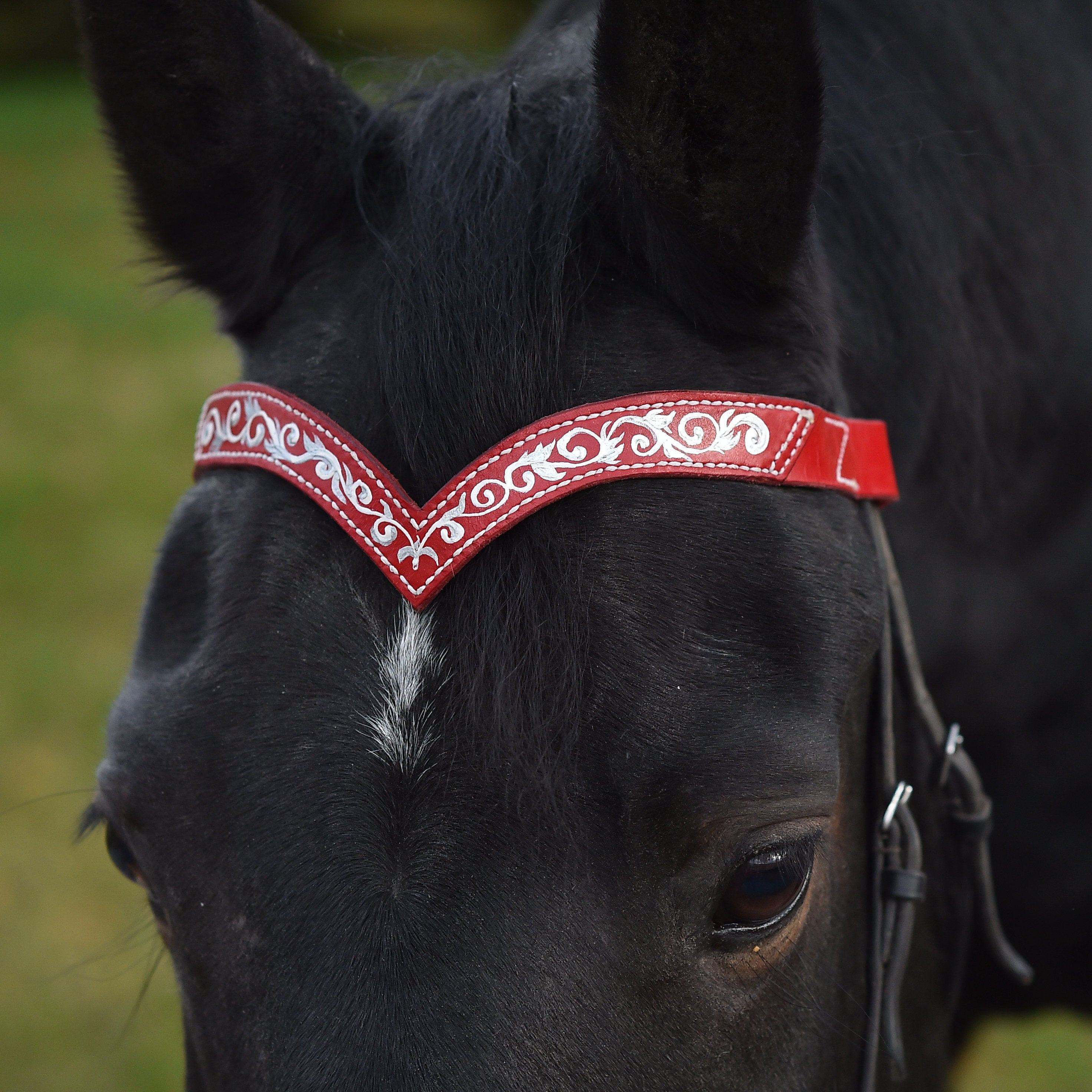 Browband for horses Handmade pony draft brow band Ruby horse Etsy