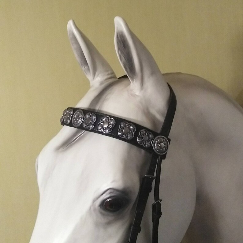 Bling browband Black horse tack. Browband for horses Jewellry Etsy