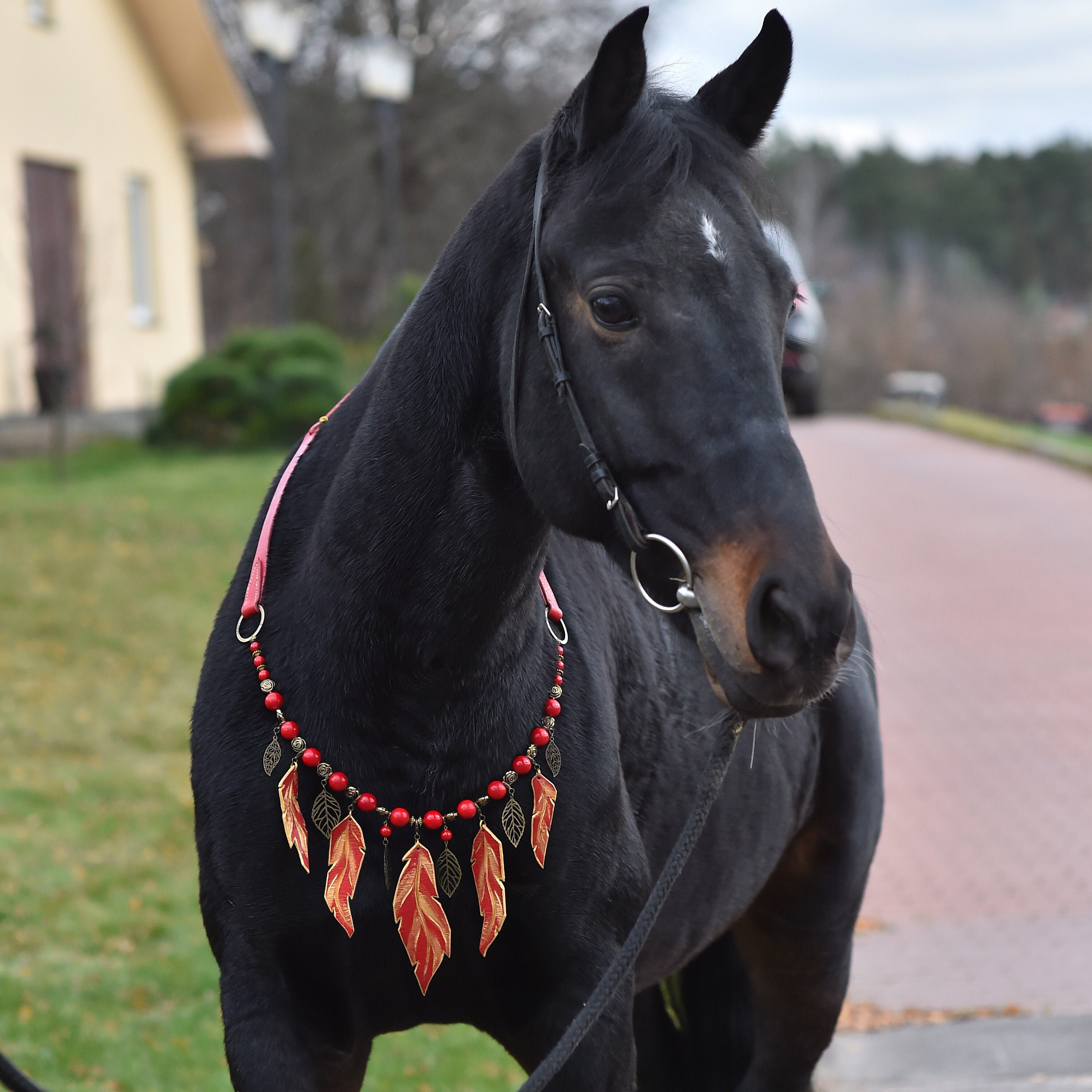 Red horse tack Rhythm beads jewelry for horses Handmade equine Etsy