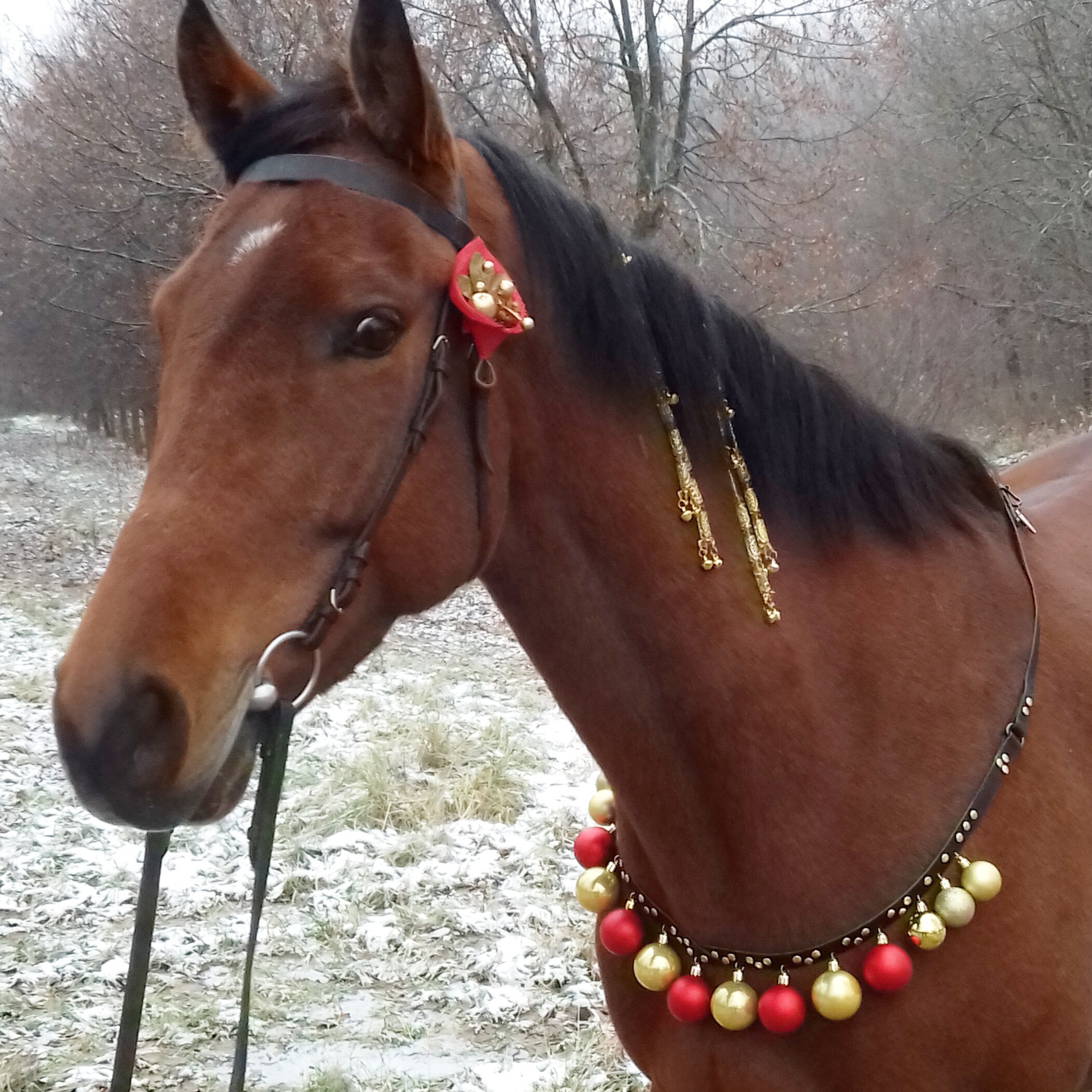 Christmas Horse tack set for draft pony Xmass horse costume Etsy