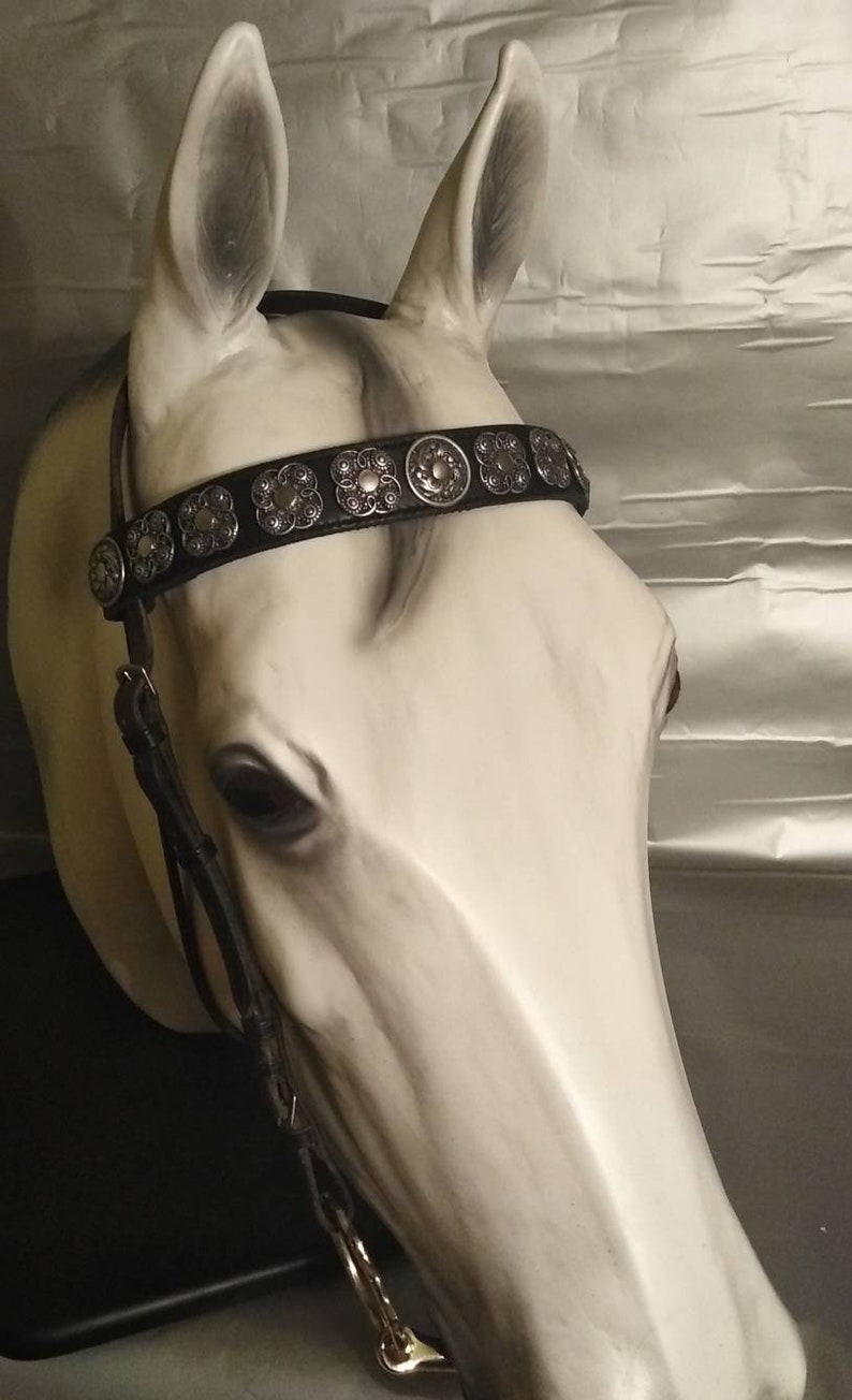 Bling browband Black horse tack. Browband for horses Jewellry Etsy