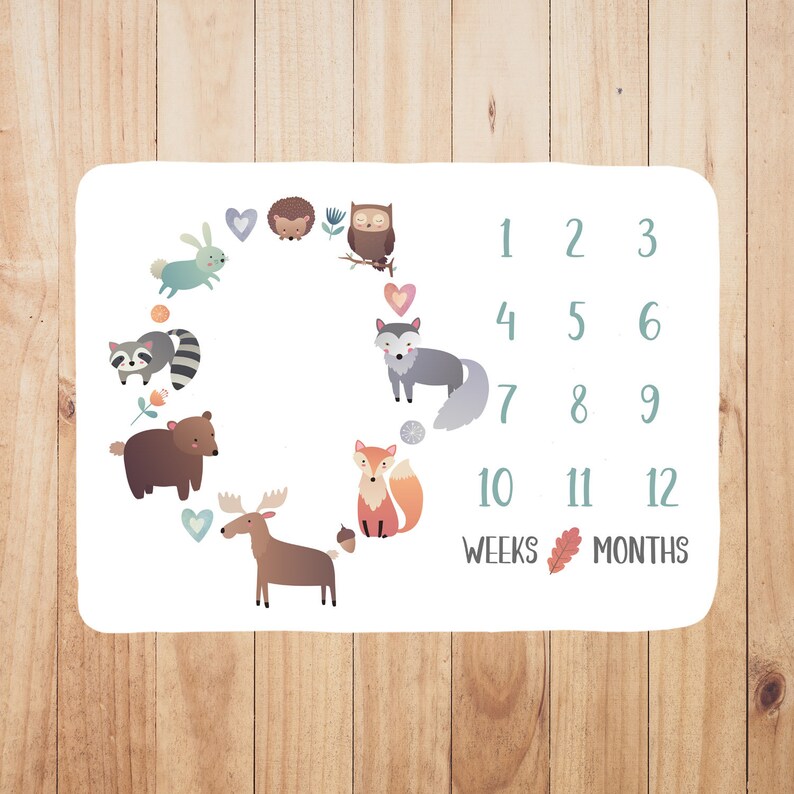 Baby Age Blanket Baby milestone blanket Track baby's Etsy