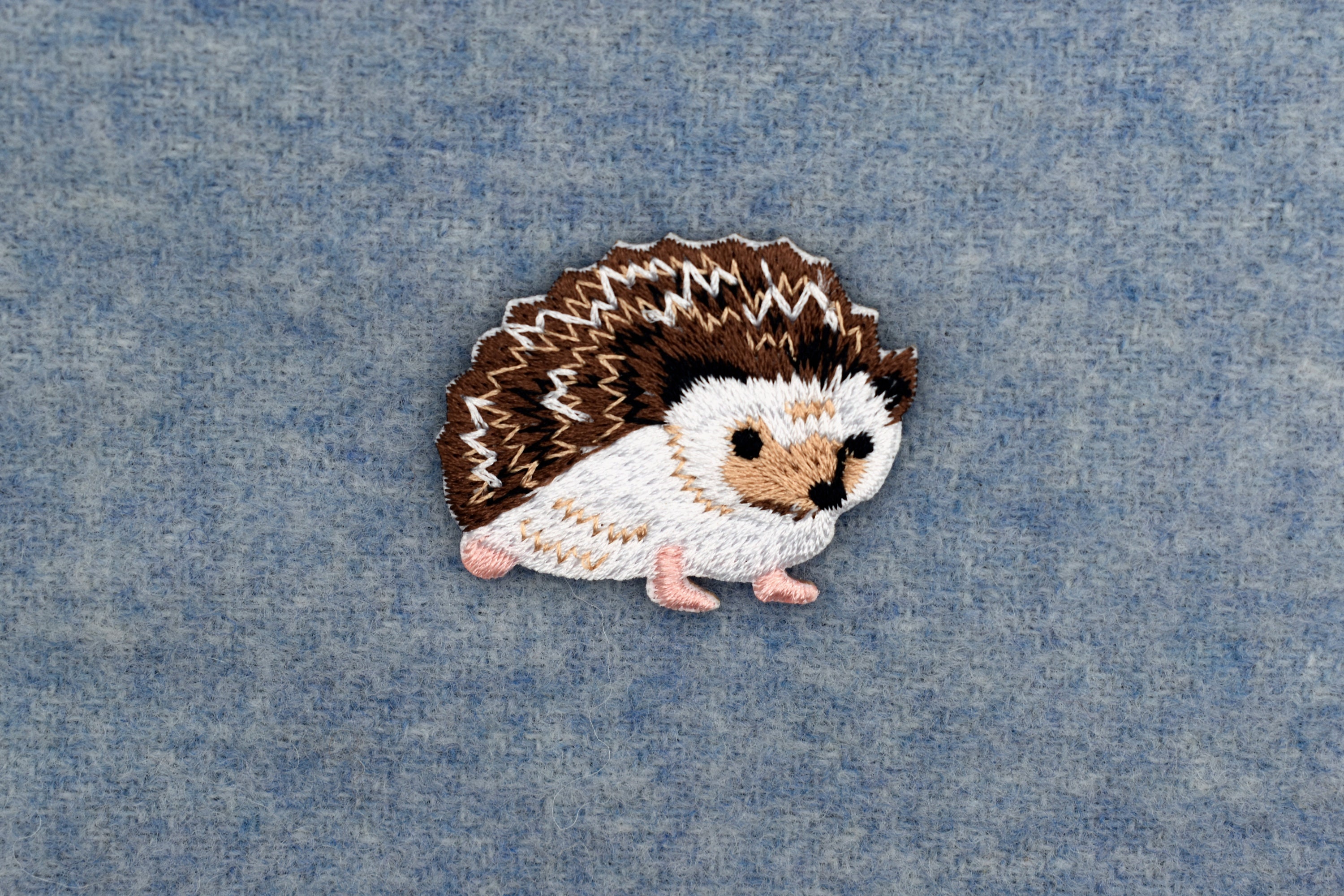 Riccio Giardino Animale Carino - Foto Gratis Su - Foto 6