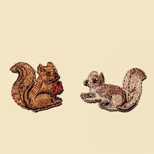 Iron on Animal Garden Squirrel Patch Iron on Animal Garden Squirrel Patch