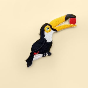 May include: A black and white toucan with a yellow beak holding a red apple in its beak. The toucan is perched on a branch.