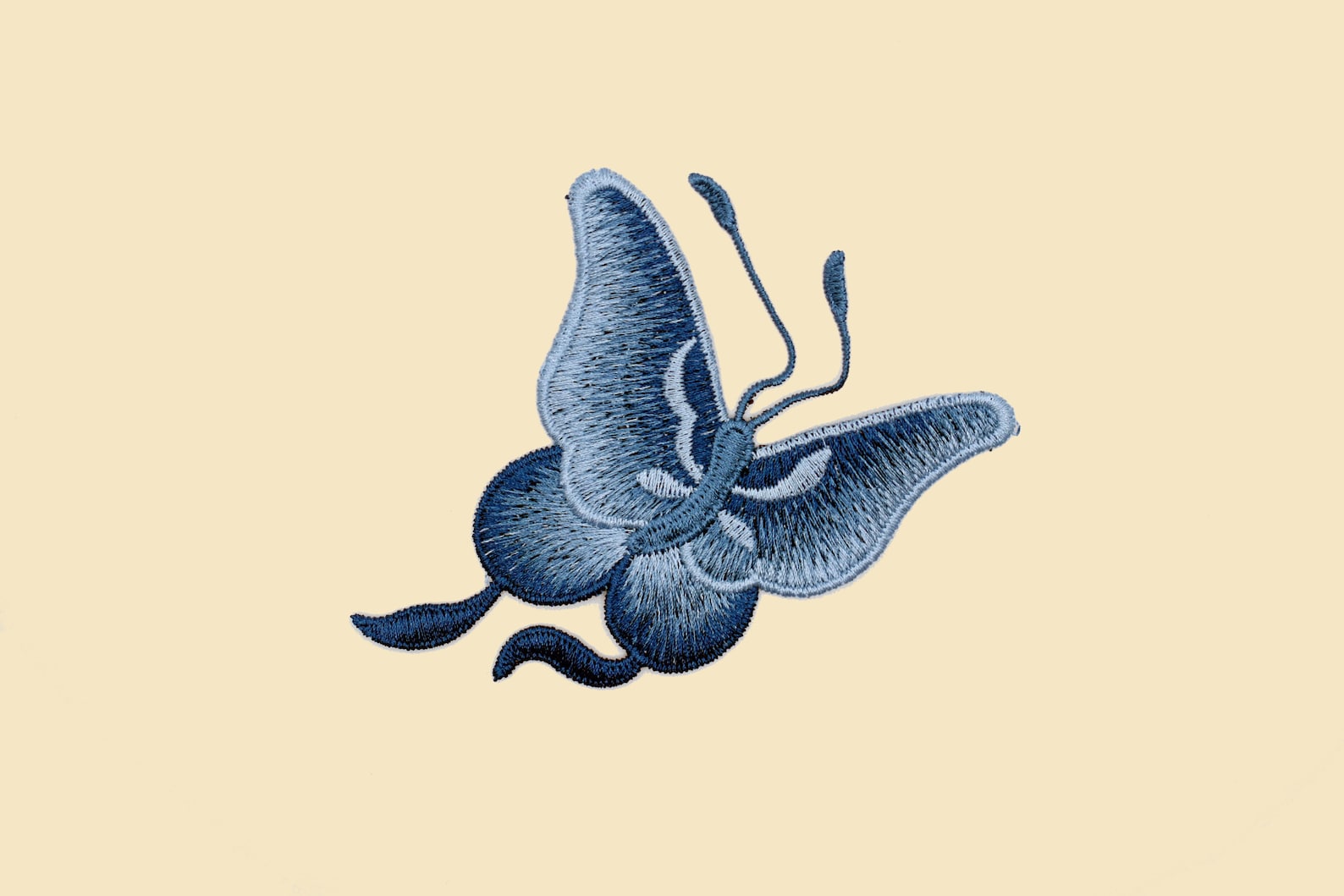 Large Blue Butterfly Sew-on Patch/insects Badge/diy Embroidery ...