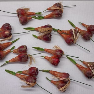 Small artificial DOUBLE sprouted flower bulbs 60353