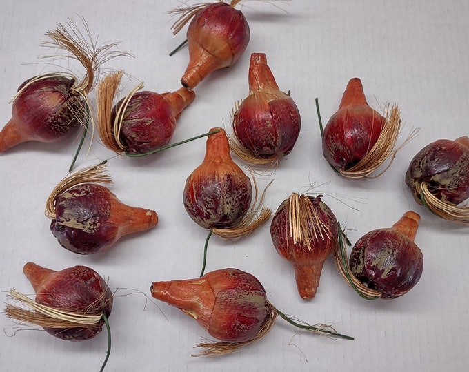 Faux Paperwhite With Bulb and Roots Artificial Paperwhite Stem