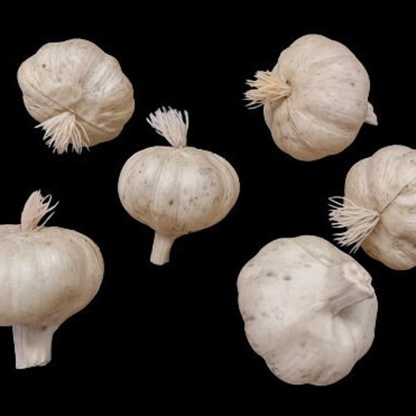 ARTIFICIAL Cloves of garlic. SIX pieces