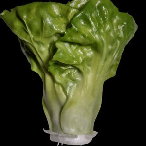 Decorative mini 3.5&quot; cabbage