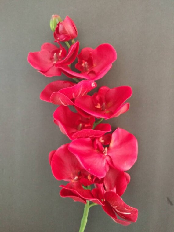 Artificial Phalaenopsis Orchid stem silk flower floral Etsy