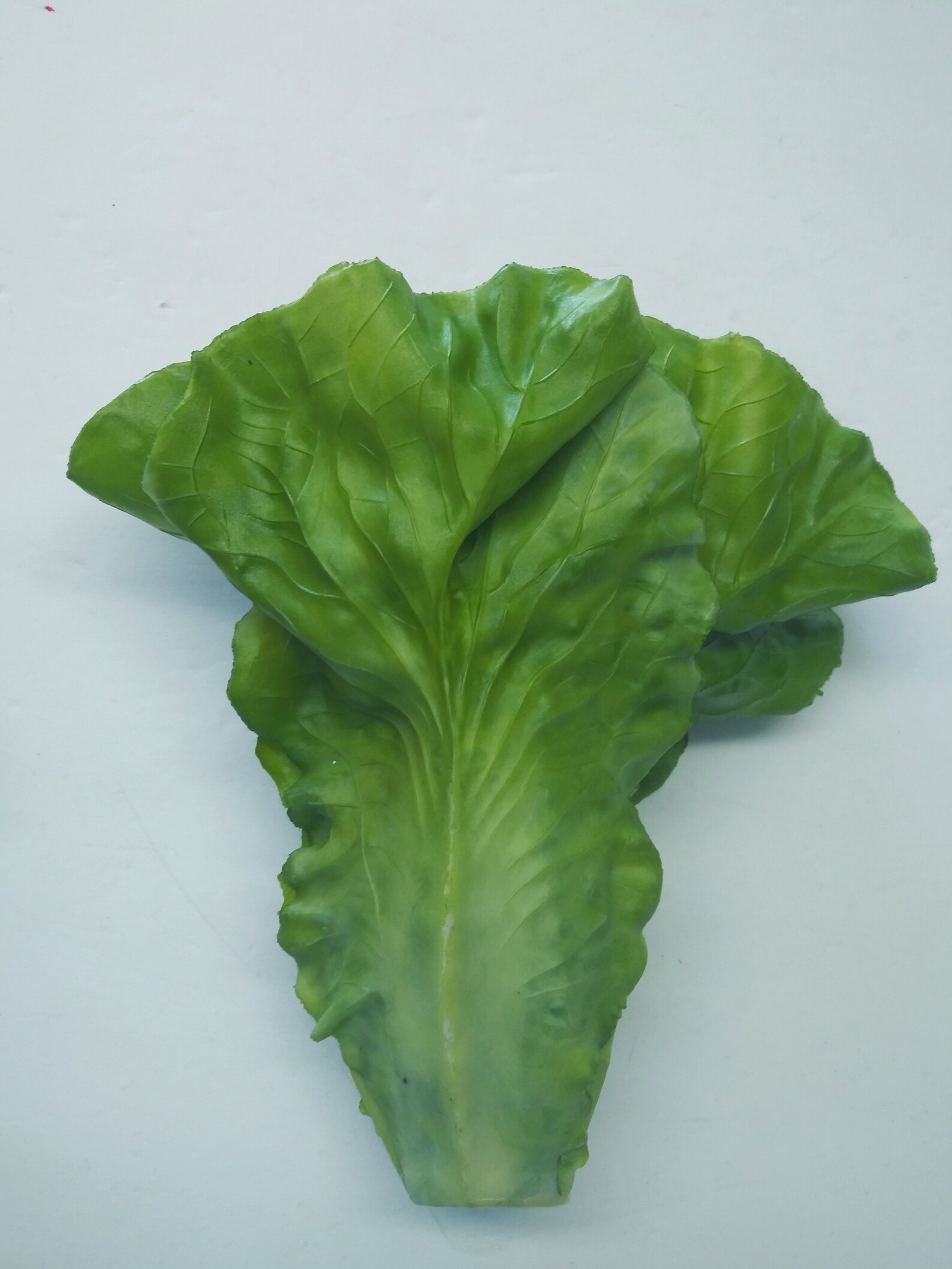 7 Artificial Lettuce Fruits Fake Foods VZL032 Etsy