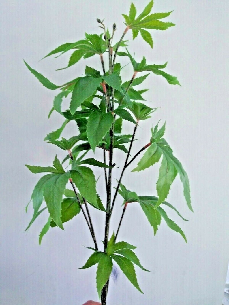 Artificial Marijuana plant Cannabis Hemp Pot plant Etsy
