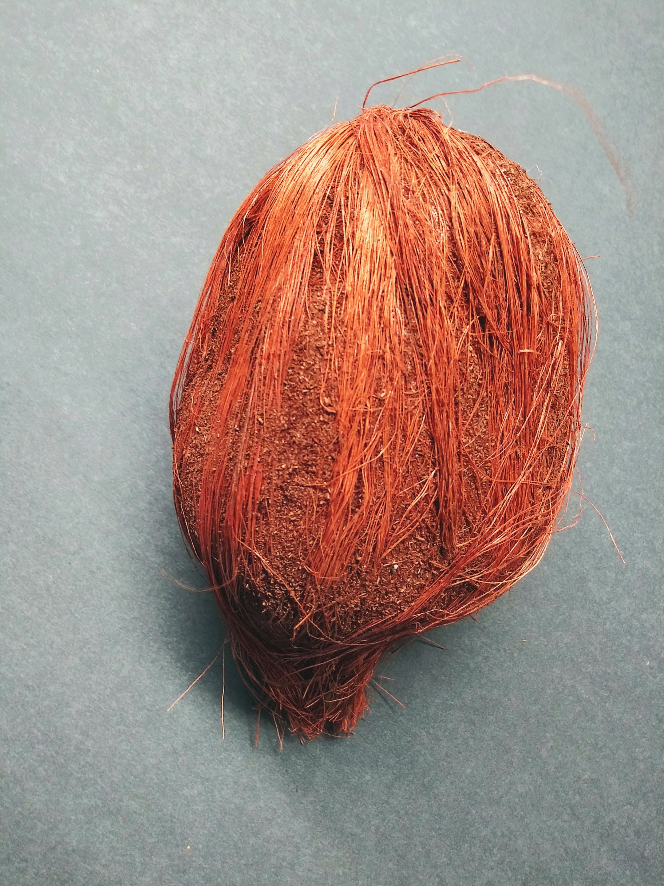 Artificial Coconut Fruits Fake Foods VQC246 Etsy