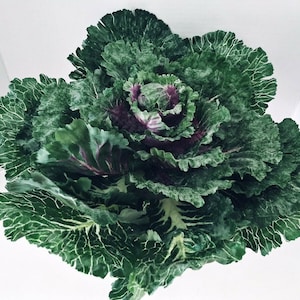 Large Artificial Decorative Cabbage. Silk Flowers