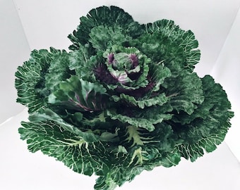 Large Artificial Decorative Cabbage. Silk Flowers