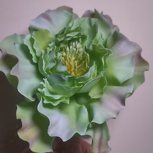 5&quot; Cabbage pick  2130203BL