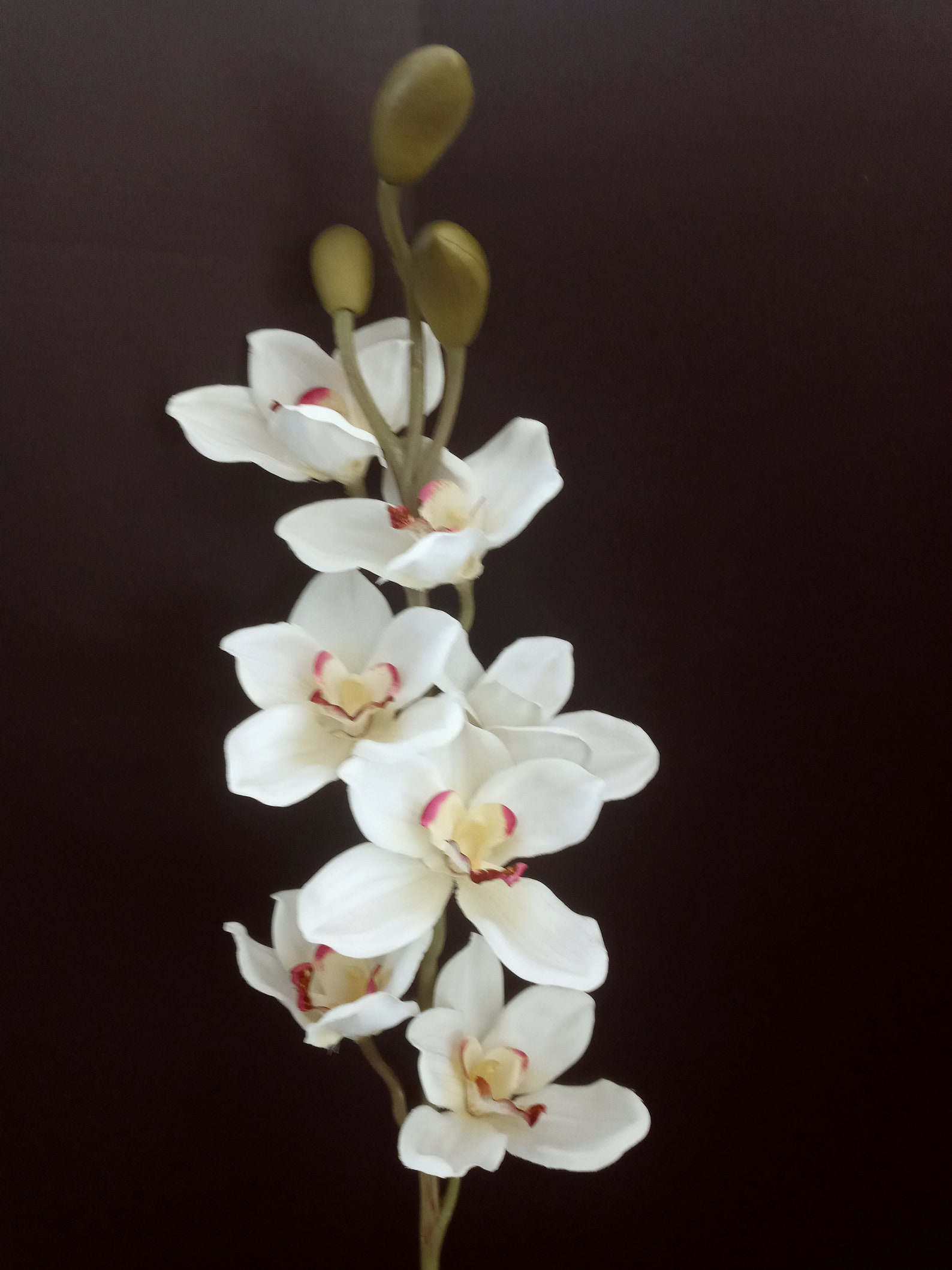 Artificial Large cymbidium orchid stem. silk orchids tropical Etsy