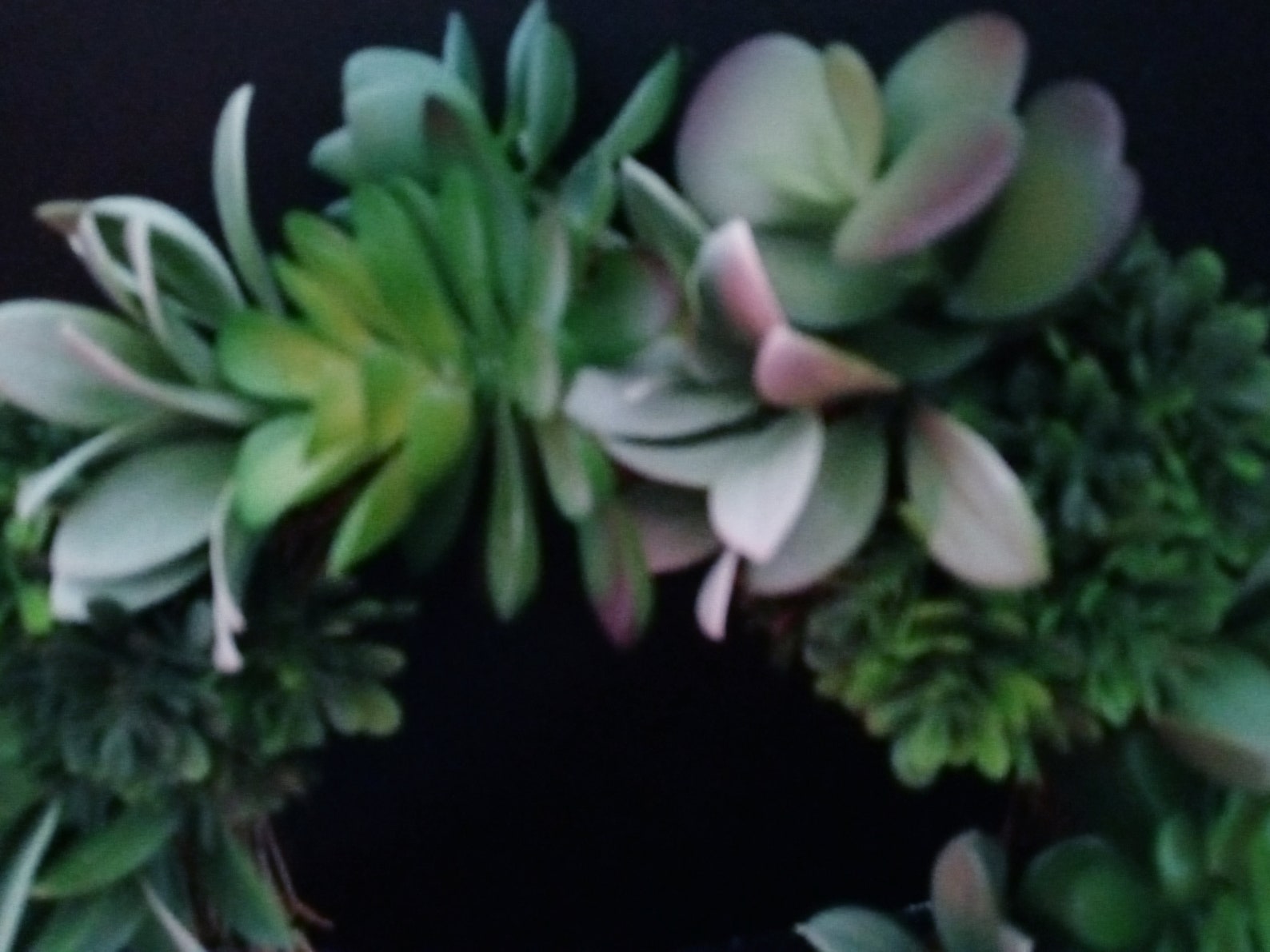 Beautiful succulent swag silk flower arrangements Etsy