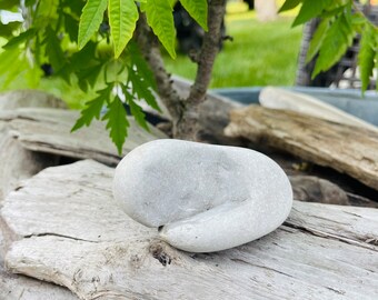 Ring holder Beach tumbled stones cavity decor/ zen rock supply/ terrariam specimen art garden flat