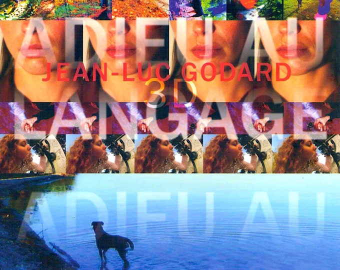 Goodbye to Language | French Cinema, Jean-Luc Godard | 2015 original print | Japanese chirashi film flyer