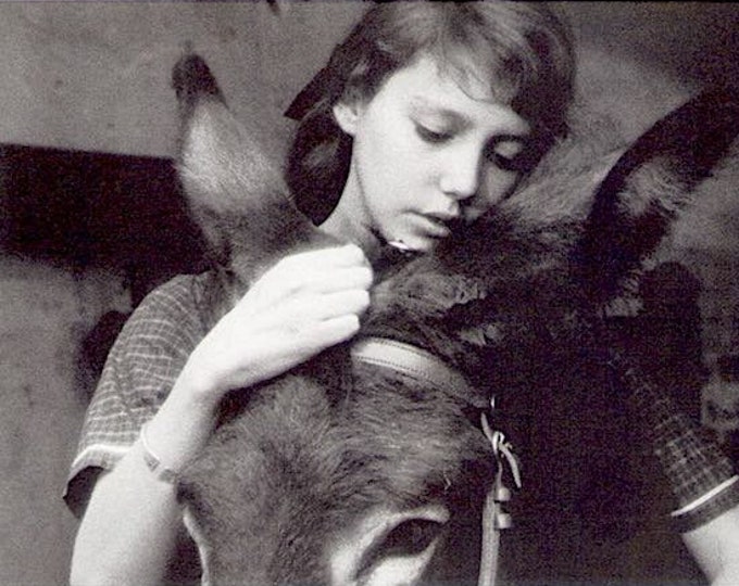 Au hasard Balthazar (B) | 60s French Classic, Robert Bresson | 2020 print | Japanese chirashi film flyer