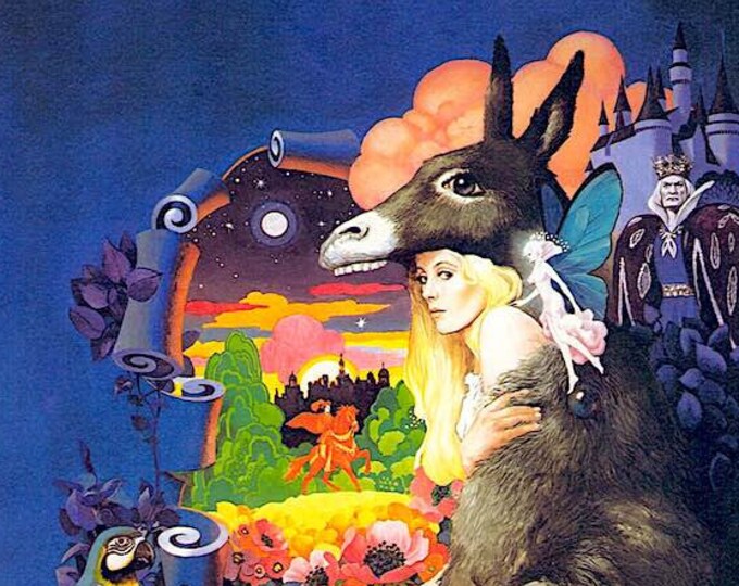 Donkey Skin (A) | 70s French Classic, Catherine Deneuve, Jacques Demy | 2005 print | Japanese chirashi film flyer