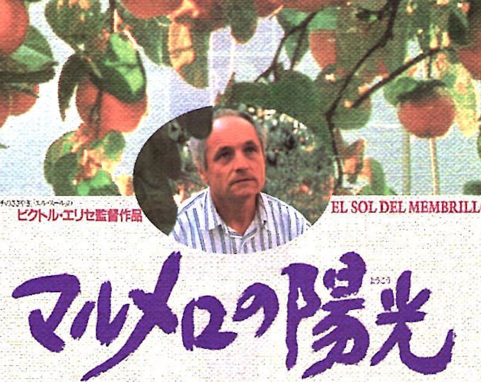 Quince Tree Sun | 90s Spanish Cinema, Victor Erice | 1993 original print | vintage Japanese chirashi film flyer