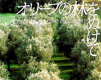 Through the Olive Trees | 90s Iranian Cinema, Abbas Kiarostami | 1994 original print | vintage Japanese chirashi film poster