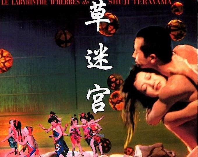 Grass Labyrinth (B) | 70s Cult Japan Cinema, Shuji Terayama | 2003 print | Japanese chirashi film flyer