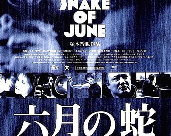 A Snake of June | Japan Cult Classic, Shinya Tsukamoto | 2003 original print | Japanese chirashi film poster