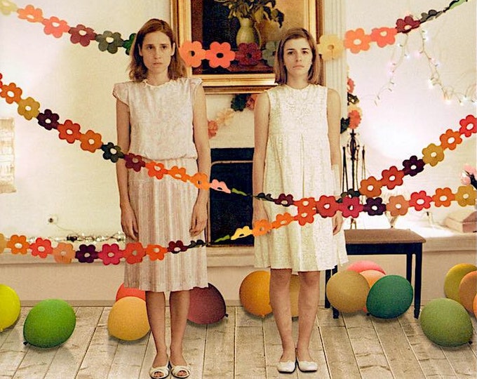 Dogtooth | Greek Cinema, Yorgos Lanthimos | 2012 original print | Japanese chirashi film flyer