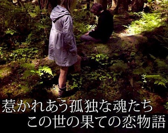 Vampire | American Horror, Shunji Iwai, Kevin Zegers | 2011 original print | Japanese chirashi film flyer