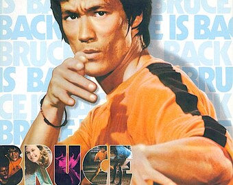 Game of Death (A) | 70s Kung fu Action, Bruce Lee | 1978 original print | vintage Japanese chirashi film poster