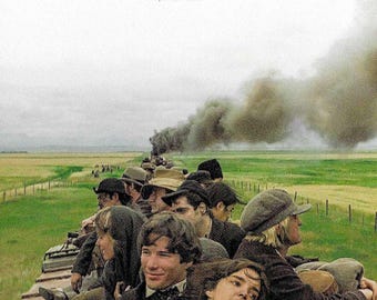 Days of Heaven (C) | 70s American Classic, Terrence Malick, Richard Gere | 2025 print | Japanese chirashi film flyer
