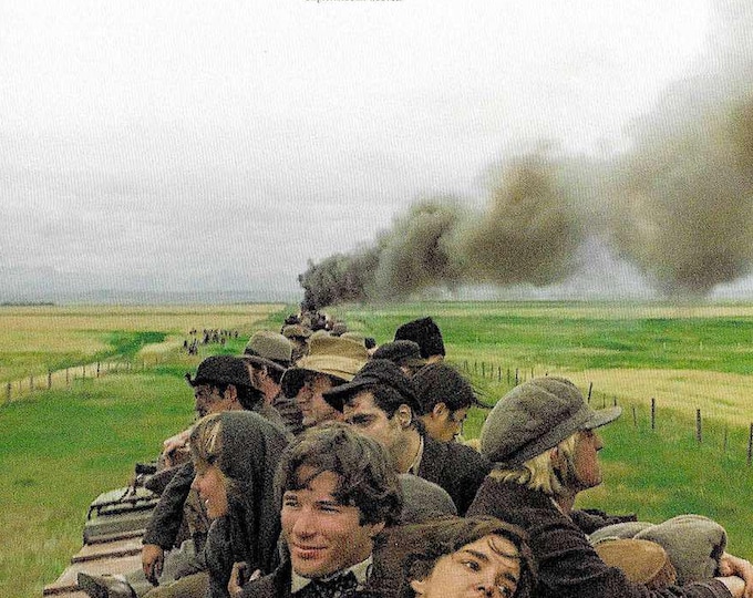 Days of Heaven (C) | 70s American Classic, Terrence Malick, Richard Gere | 2025 print | Japanese chirashi film flyer