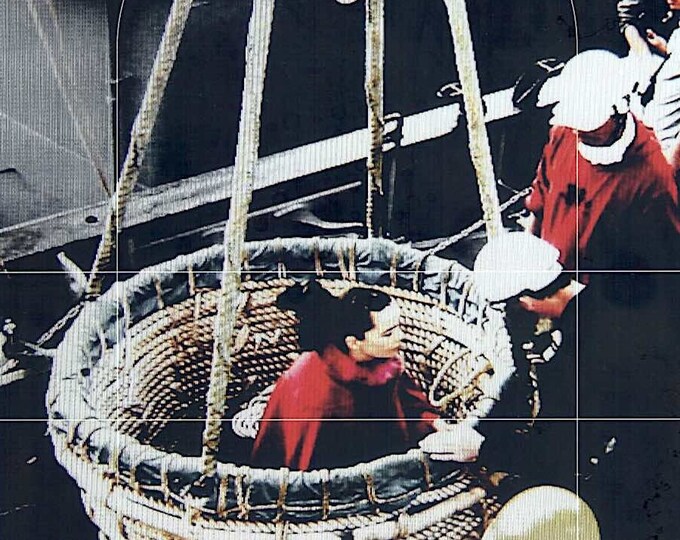 Matthew Barney: No Restraint | Art Documentary, Björk, Alison Chernick | 2008 original print | Japanese chirashi film flyer