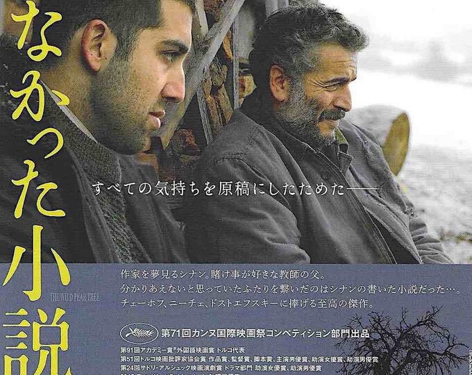 The Wild Pear Tree | Turkish Cinema, Nuri Bilge Ceylan | 2019 original print | Japanese chirashi film flyer