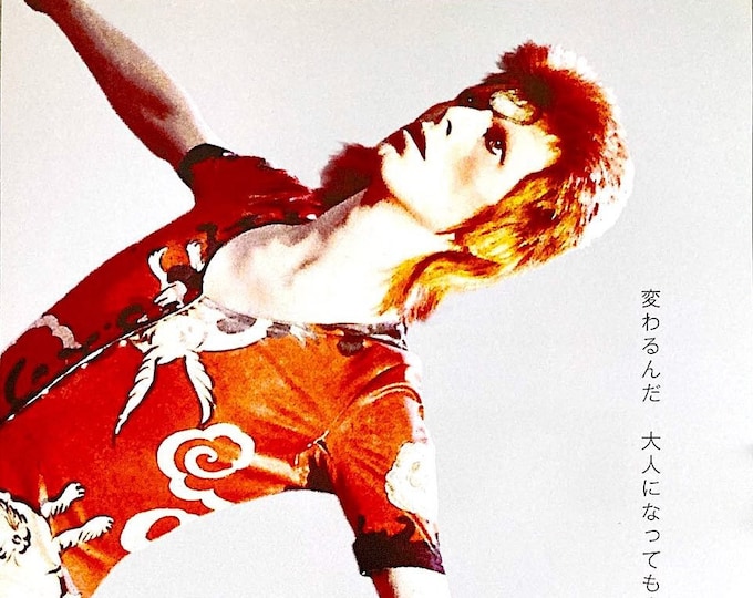 Ziggy Stardust (D) | 70s British Cinema, David Bowie, DA Pennebaker | 2022 print | Japanese chirashi film flyer
