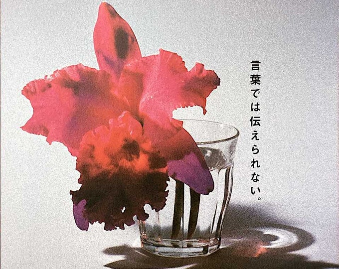 Besieged | 90s Italian Cinema, Bernardo Bertolucci | 2000 print | Japanese chirashi film flyer