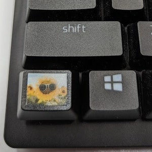 Puede incluir: Primer plano de un teclado de ordenador negro con teclas grises. La tecla "shift" es visible, junto con las teclas "esc", "tab", "caps", "alt" y teclas de función. Una tecla personalizada muestra un girasol con gafas de sol.
