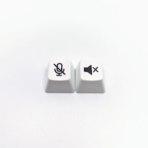May include: Two white keyboard keys with black symbols. The left key has a microphone with a line through it, and the right key has a speaker with an X through it.