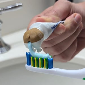 Corgis Hund Pooping Zahnpasta Topper | Zahnpasta mit dabei