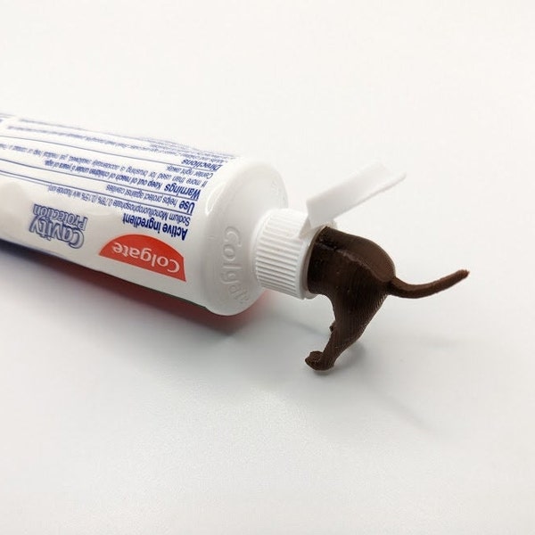 Pooping Dog Butt Toothpaste Topper Etsy UK