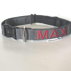 1&quot; Dog Collar with name - handle - ecollar