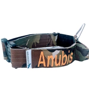 E-Halsband mit Griff & Name