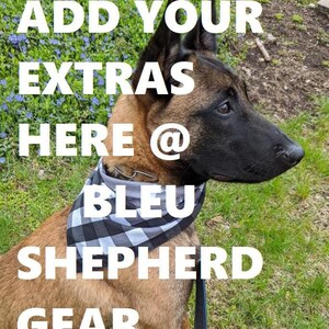 May include: A brown and black Belgian Malinois dog wearing a black and white checkered bandana with the text "BLEU SHEPHERD GEAR" on it. The dog is sitting on green grass with blue flowers in the background.