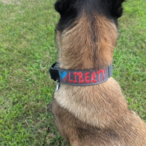 1.5&quot; Custom Collar