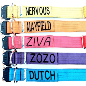 E-collar with Name - 1.5" Tactical