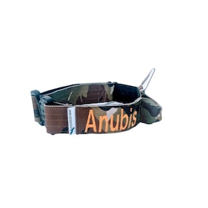 E-Collar with Handle & Name